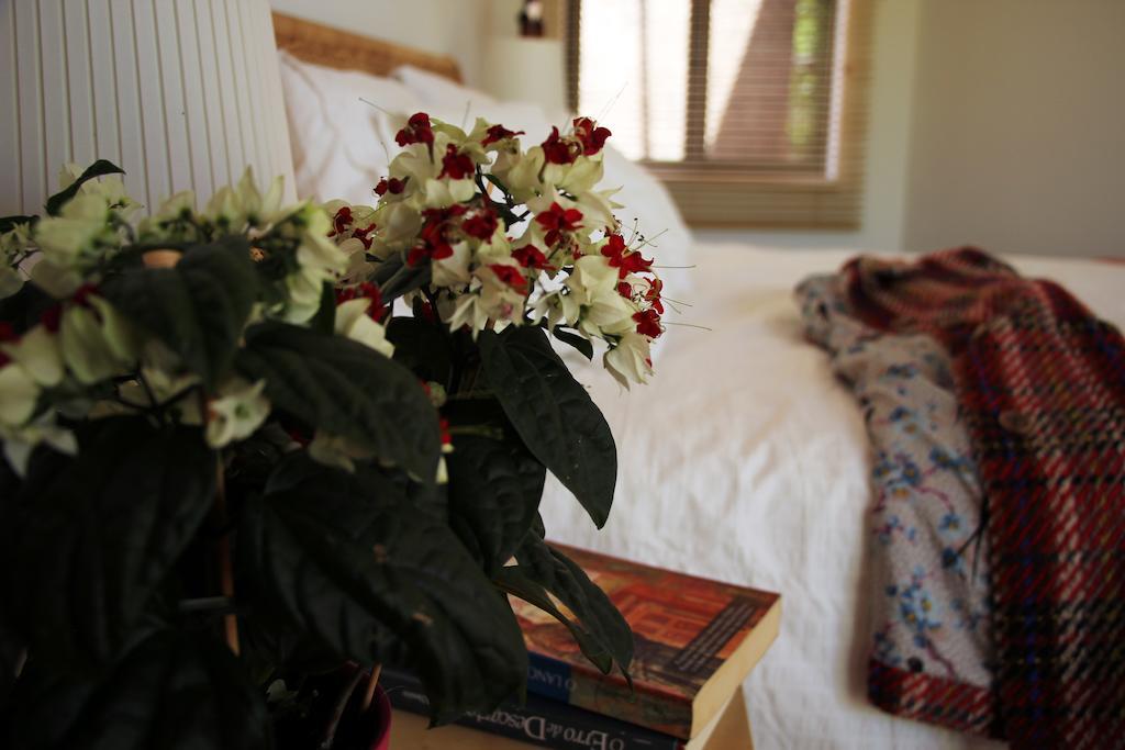 Bed and Breakfast A Casa Da Arvore Вила-Нова-де-Мильфонт Номер фото
